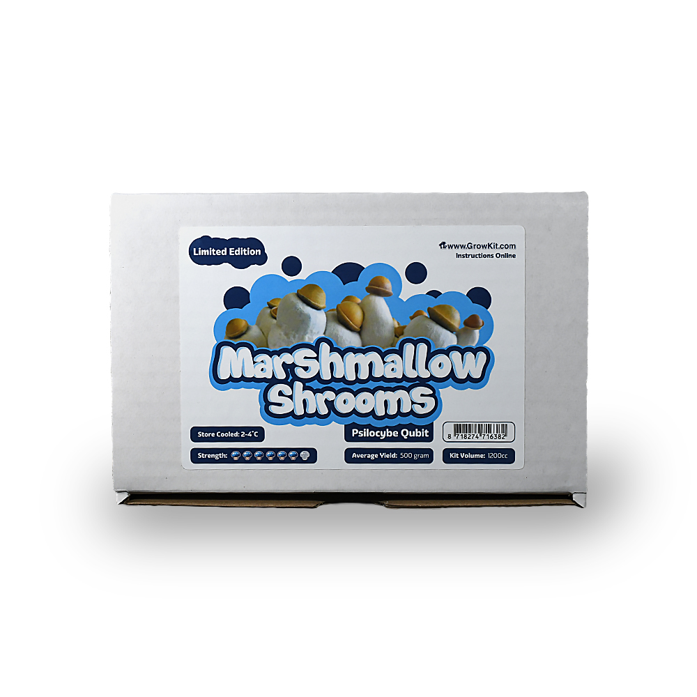 Marshmallow Shrooms Growkit - 1200 cc - Afbeelding 3
