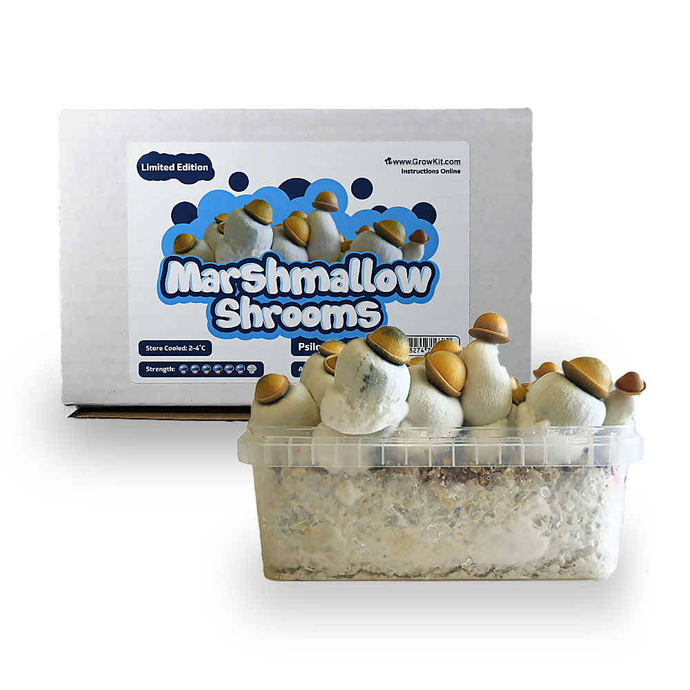Marshmallow Shrooms Growkit - 1200 cc