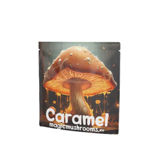 Caramel with Mushroom Extract ( Muscimol)