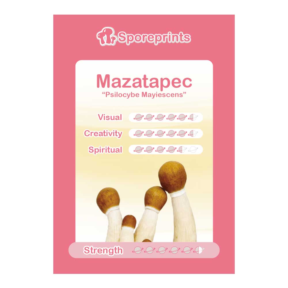 Mazatapec Sporeprint - Afbeelding 2